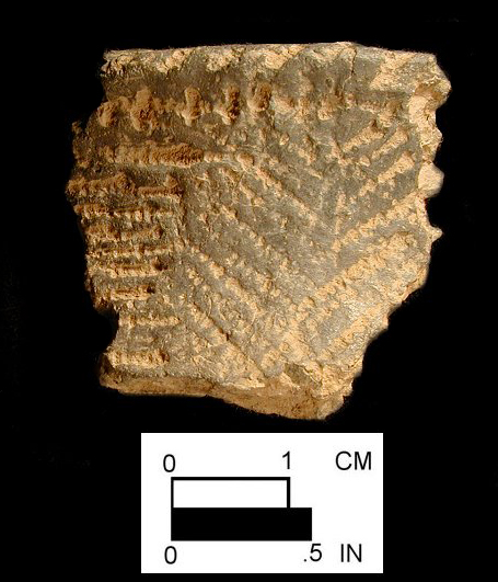 Clemson Island rim sherd with cord-impressed decoration from Herman Barton Village, site 18AG3/48.